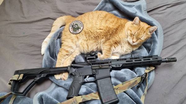Szkolenie karabinek AR15 POZIOM 1 - ZIELNOWO